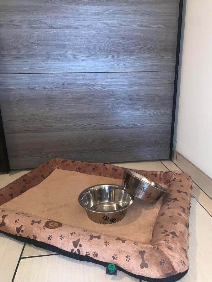 Apartment Owl Kořenov المظهر الخارجي الصورة