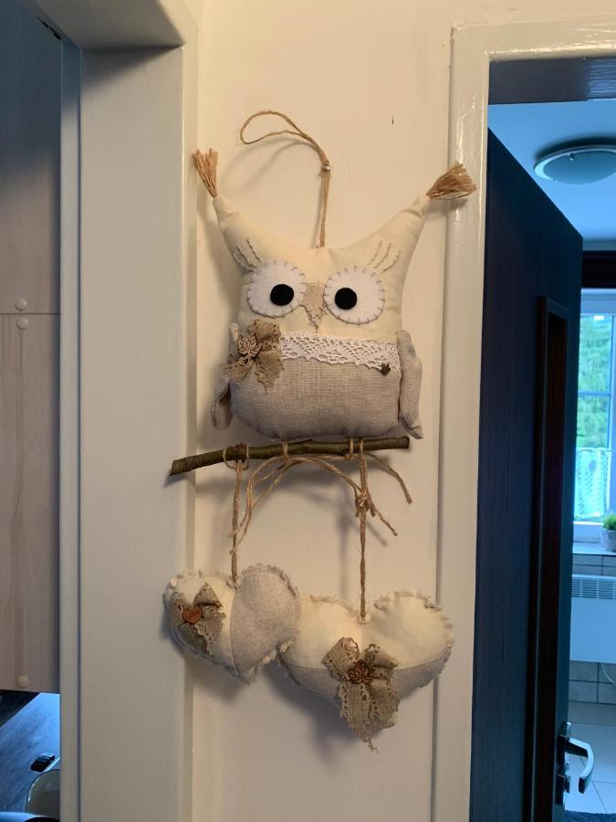 Apartment Owl Kořenov المظهر الخارجي الصورة