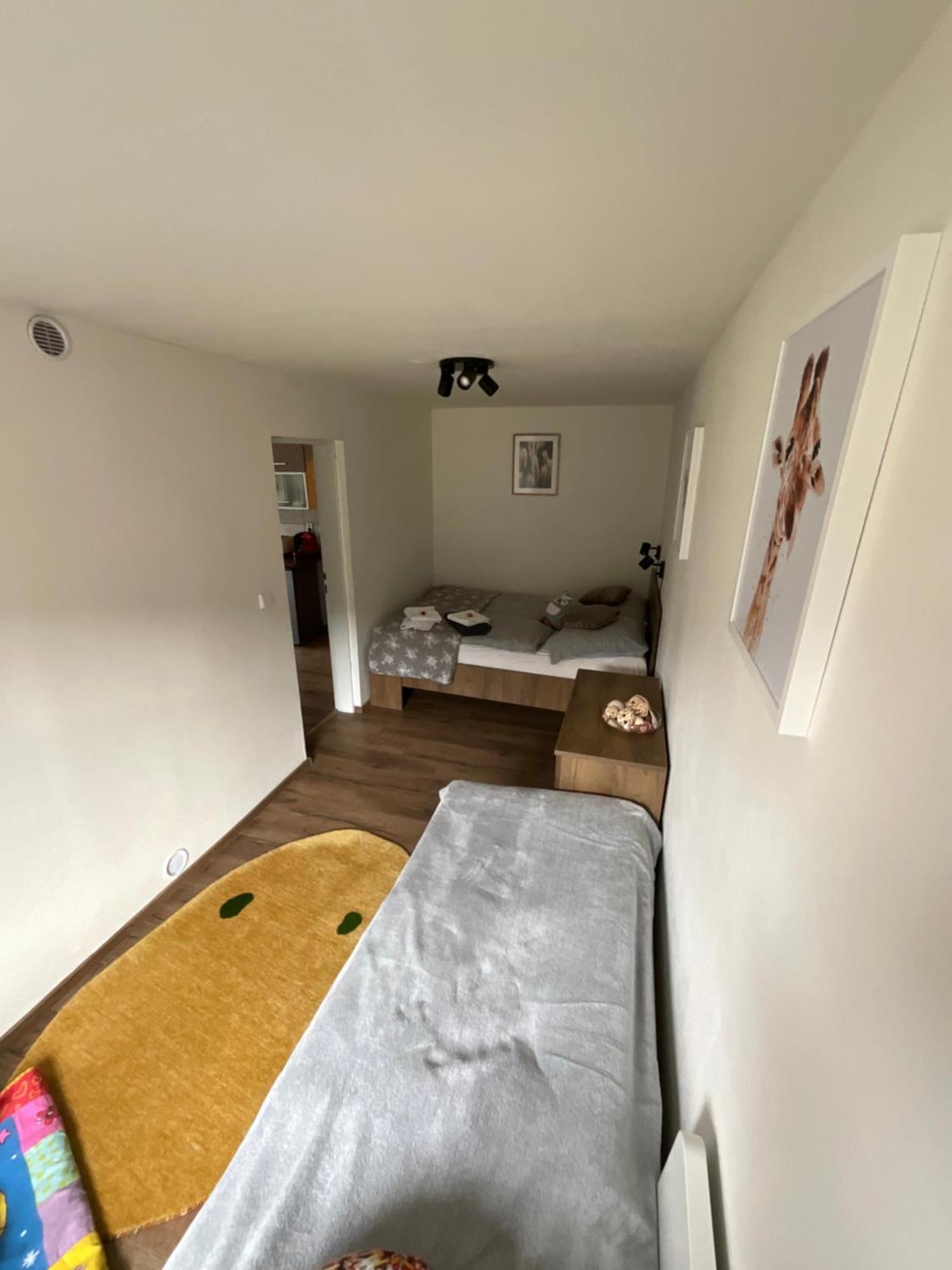 Apartment Owl Kořenov المظهر الخارجي الصورة