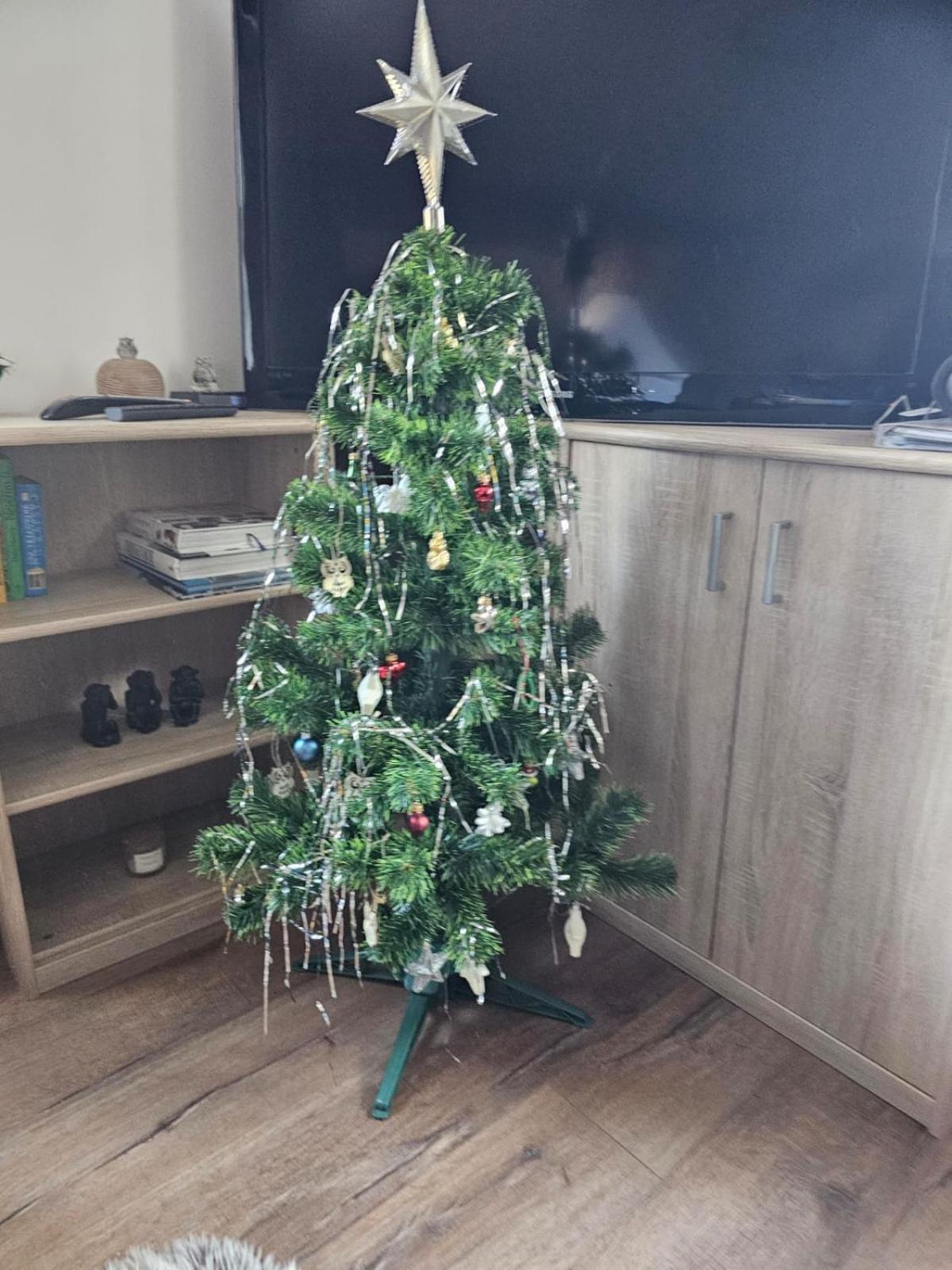 Apartment Owl Kořenov المظهر الخارجي الصورة