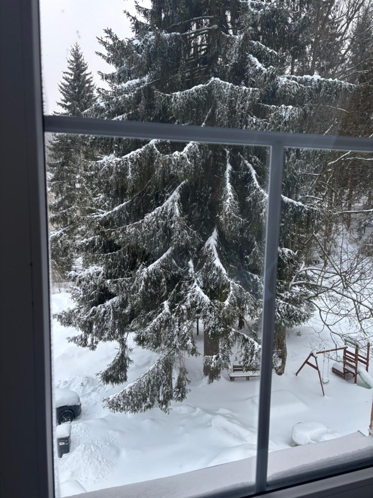 Apartment Owl Kořenov المظهر الخارجي الصورة