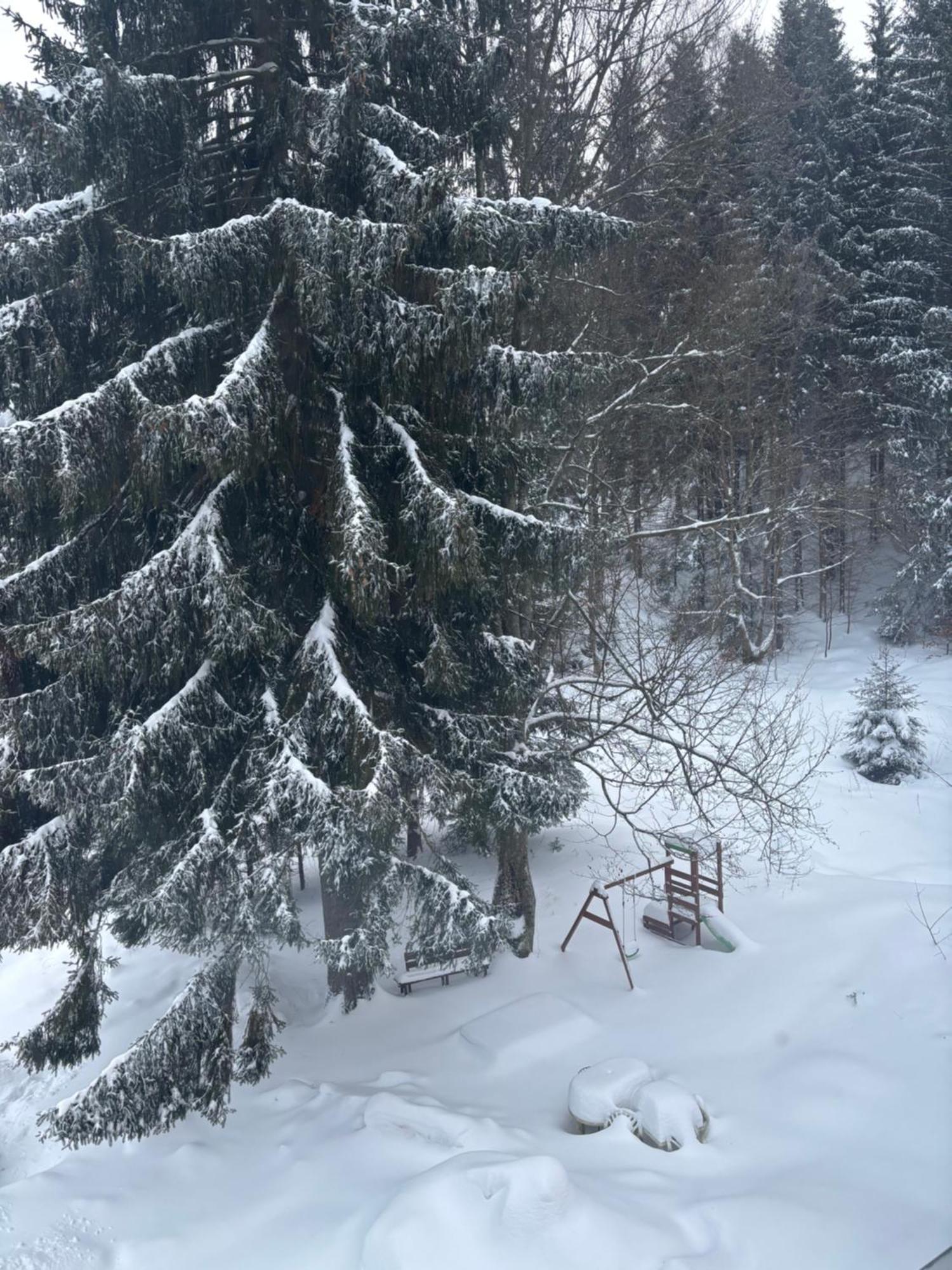 Apartment Owl Kořenov المظهر الخارجي الصورة